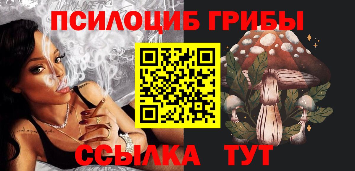 Галлюциногенные грибы Psilocybine cubensis Курган