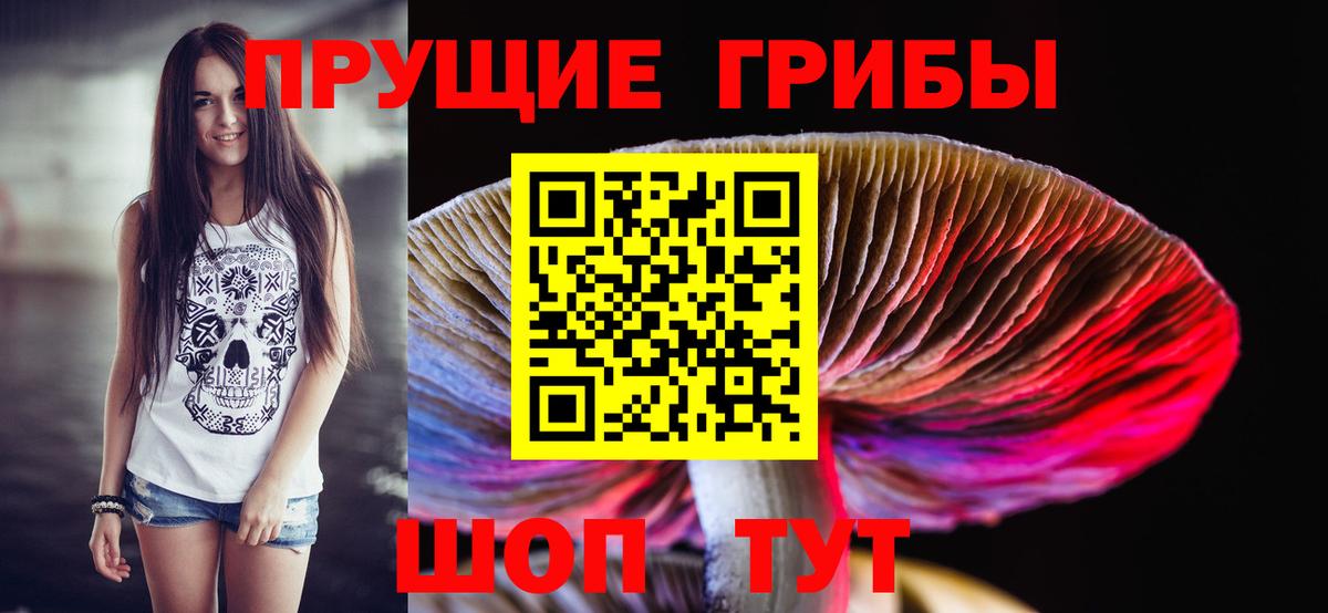 Псилоцибиновые грибы Magic Shrooms  Вход с VPN  Курган 